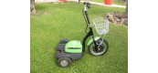 Biga Elettrica